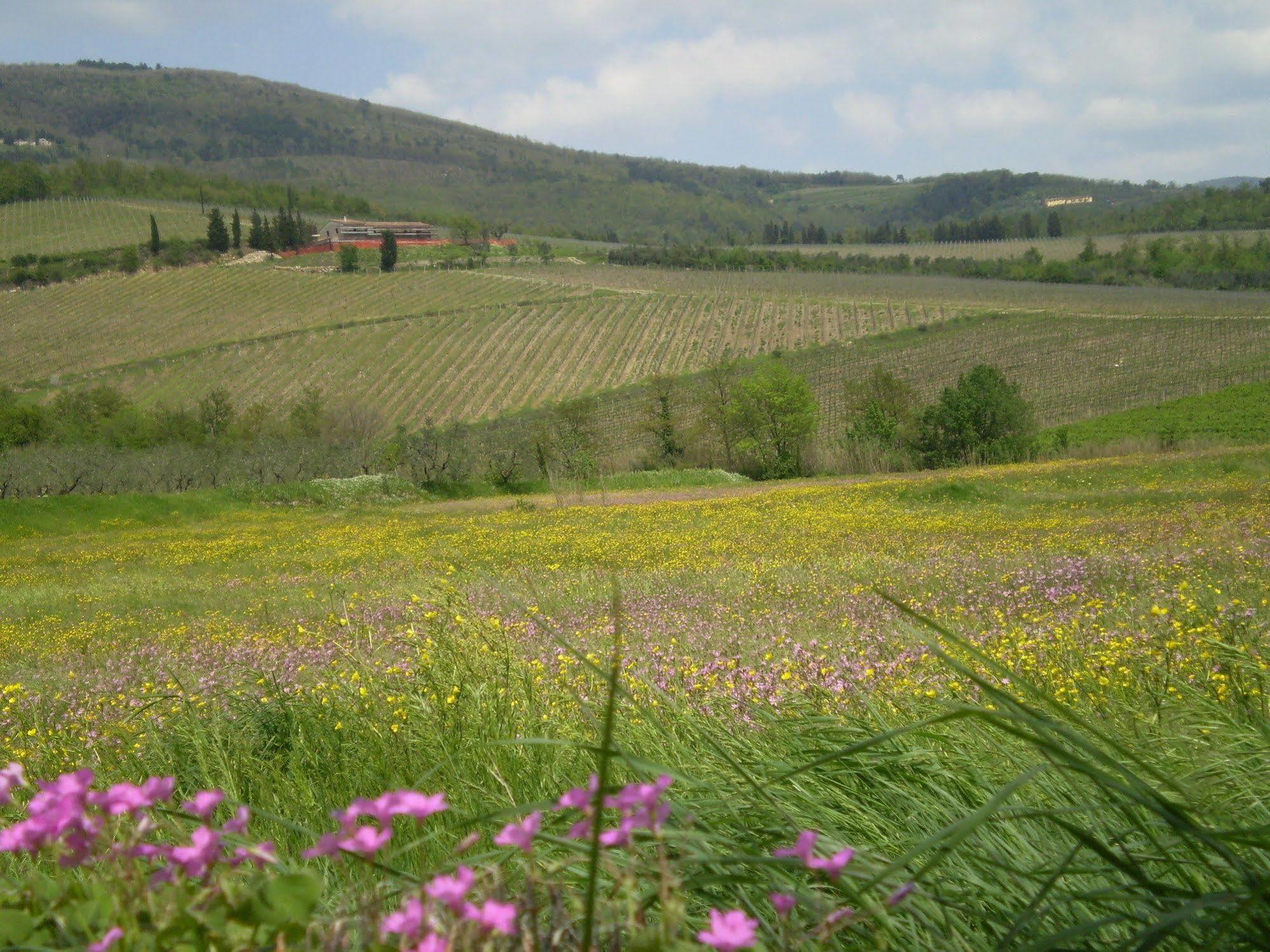 Bed & Breakfast Nido Del Merlo
